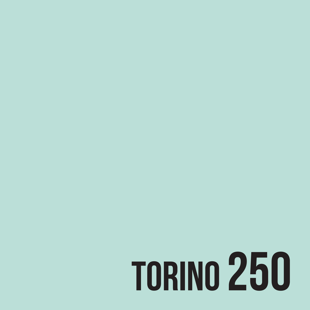 TORINO