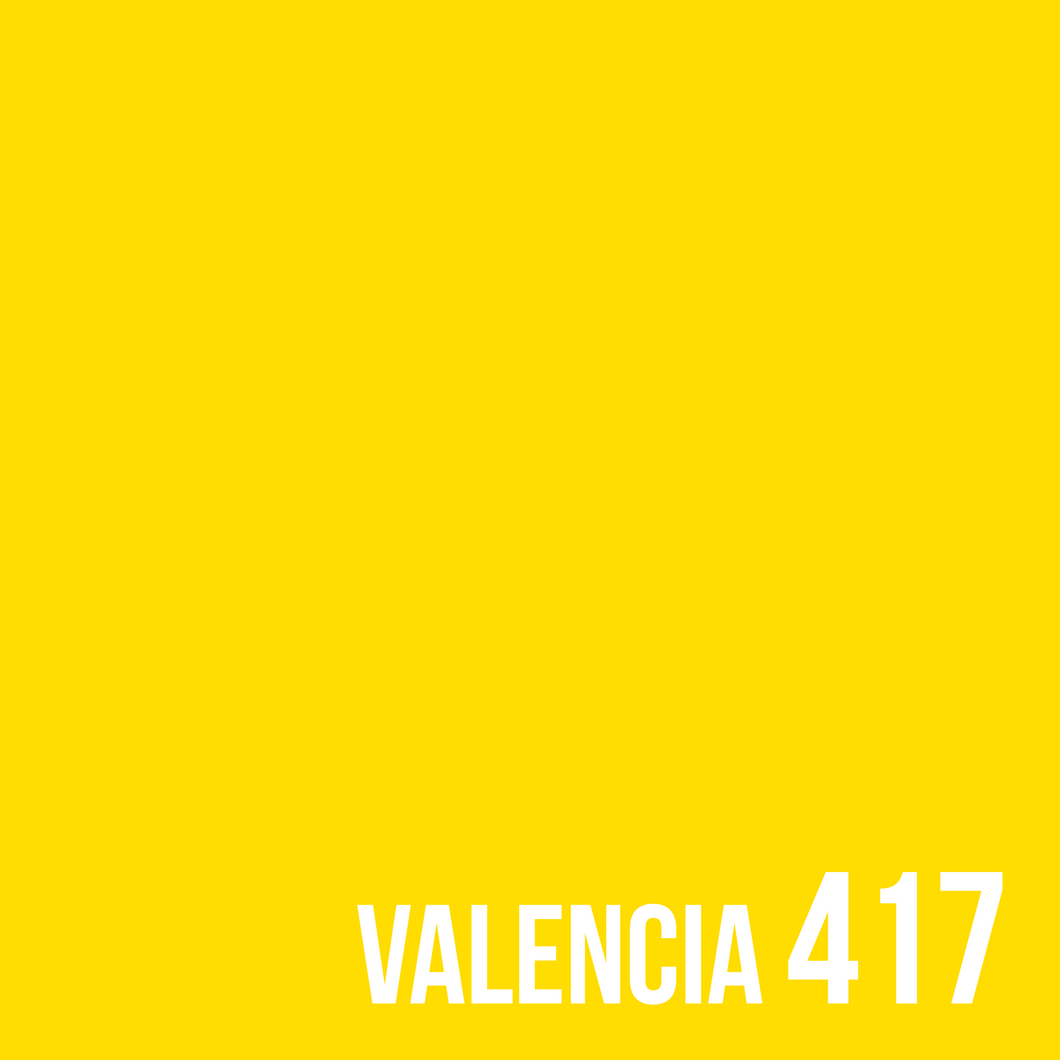 MAXI VALENCIA